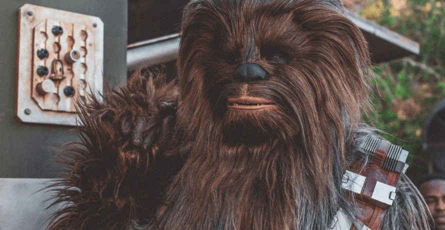 , Chewie, don&#8217;t touch TCP/IP!