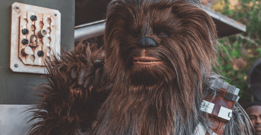 , Chewie, don’t touch TCP/IP!