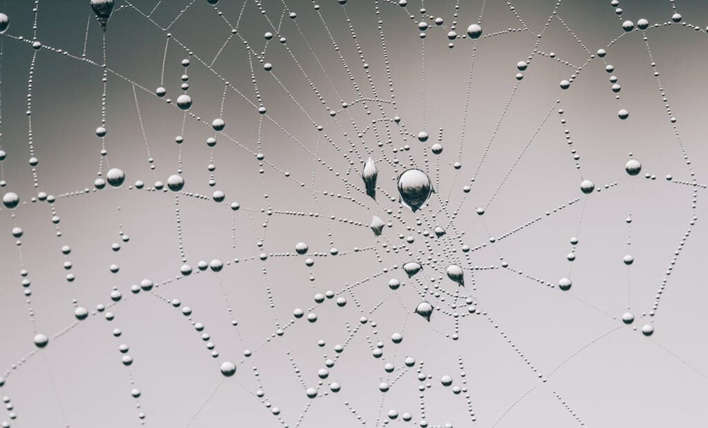 , E2E optimization: The spider and the web